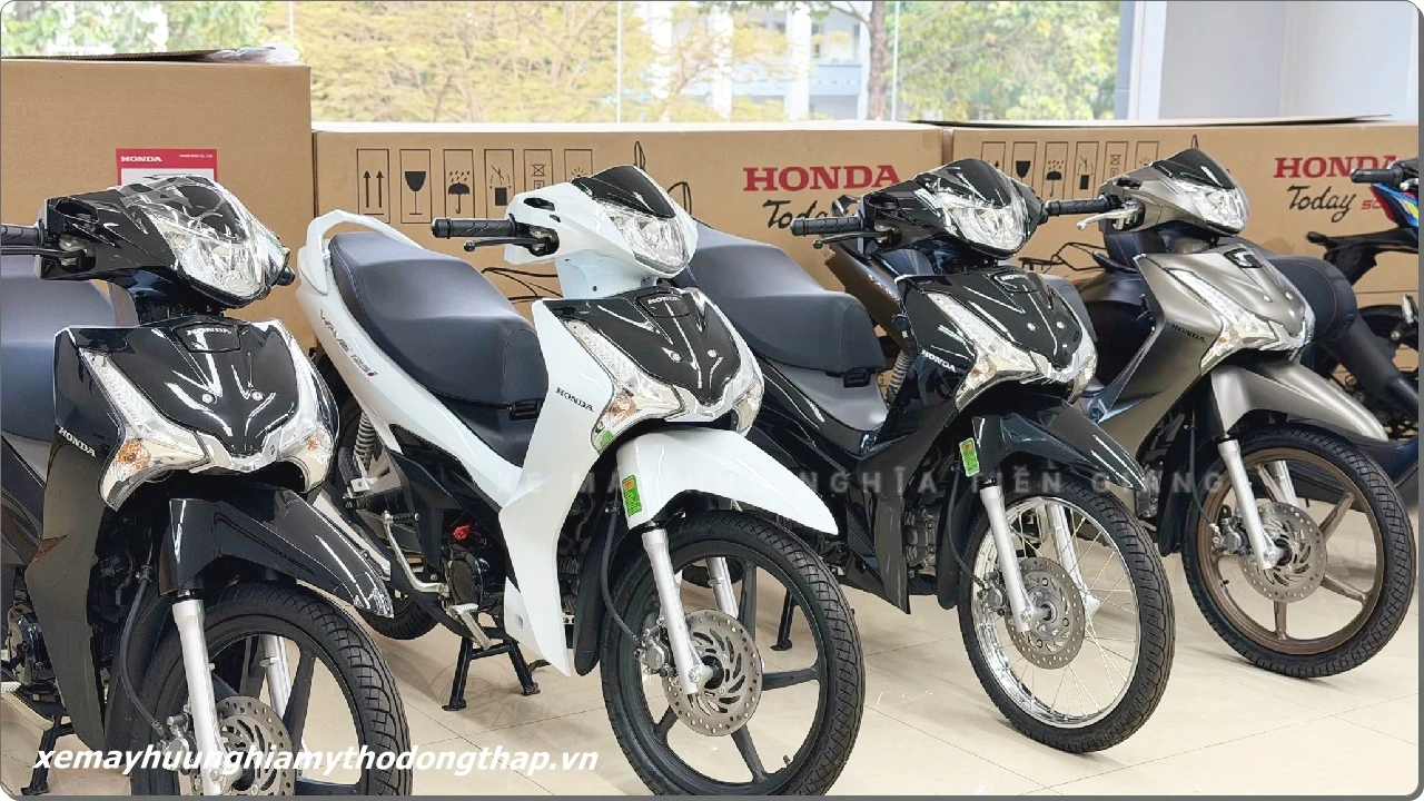 Xe máy nhập khẩu – Nơi hội tụ các dòng xe hot 2026 tại TP Mỹ Tho, Tiền Giang 4 Xe may nhap khau %E2%80%93 Noi hoi tu cac dong xe hot 2026 tai TP My Tho Tien Giang 1