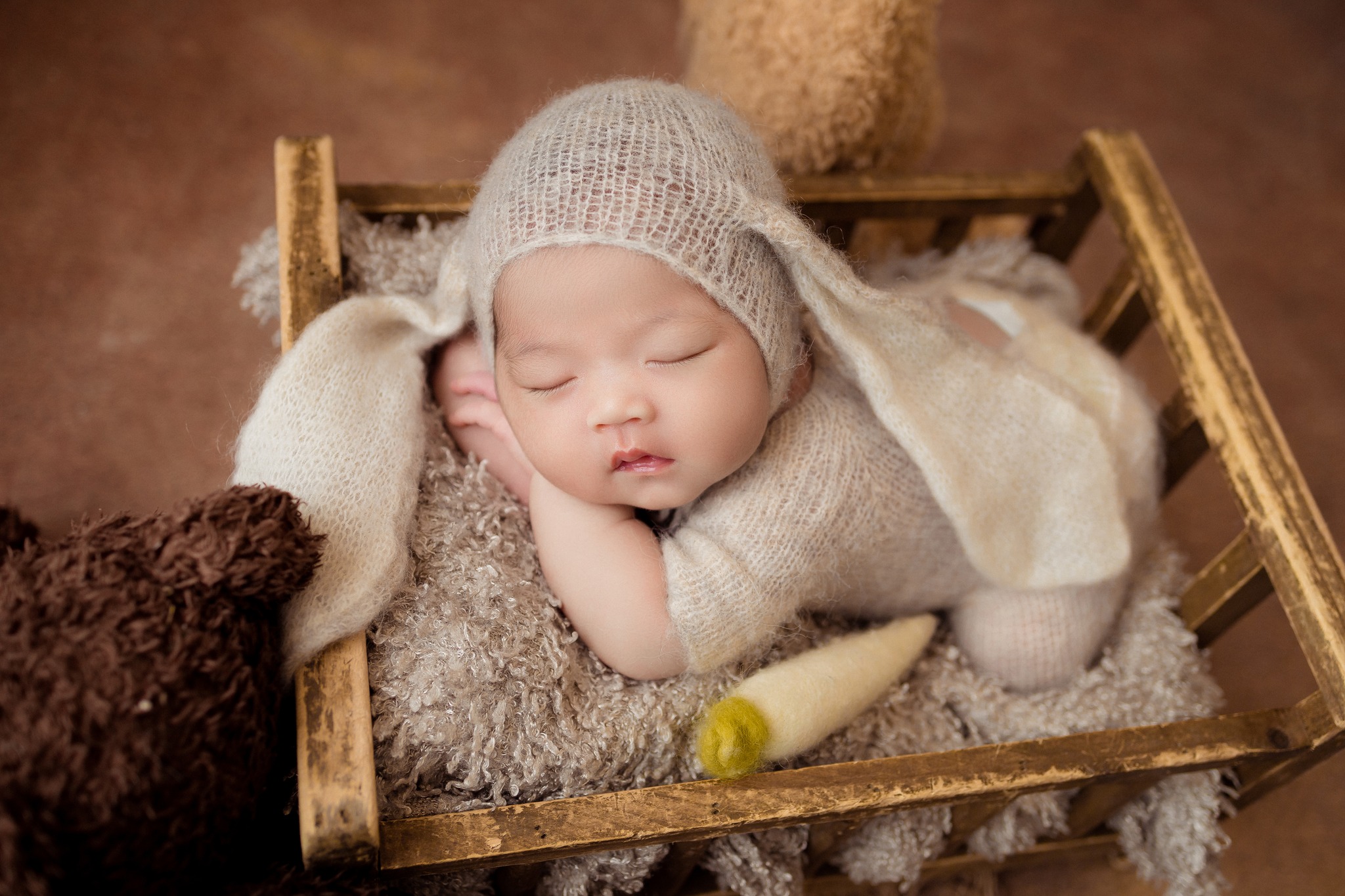 4. Concept thỏ con cho các bé newborn