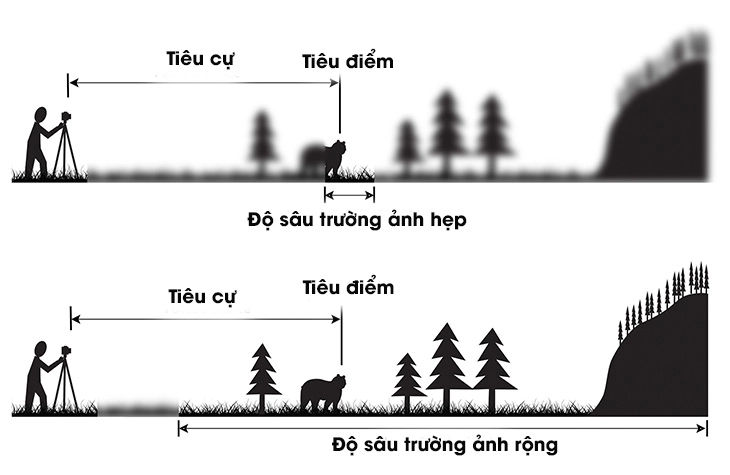 Chụp ảnh cơ bản