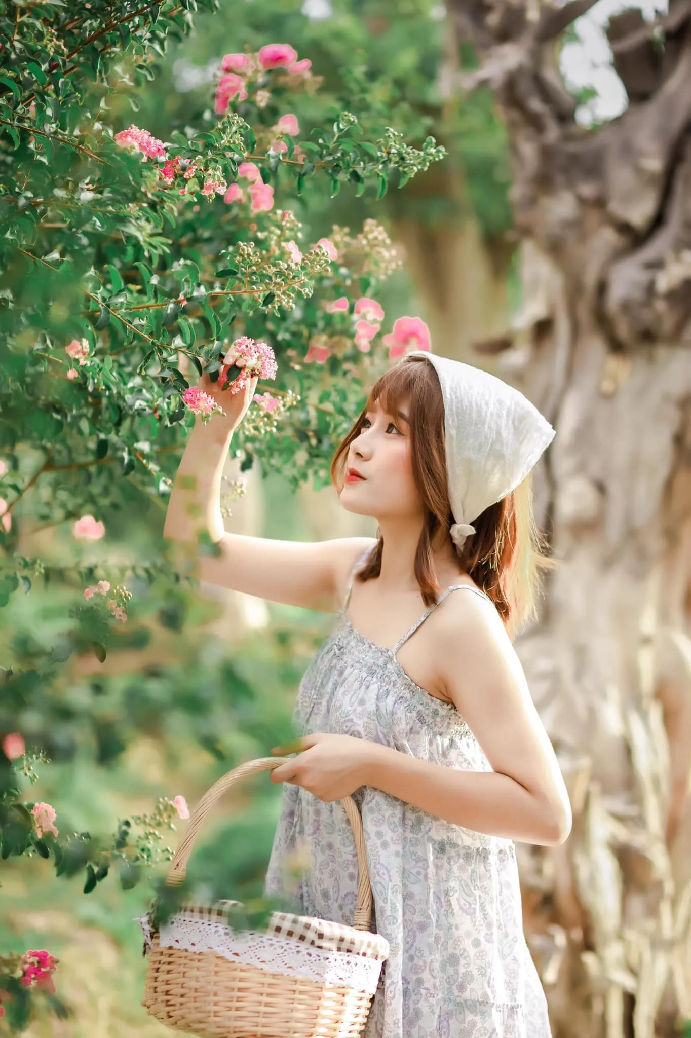 Ảnh chụp kỷ yếu