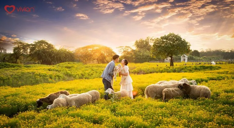 Phim trường Thảo Nguyên Hoa