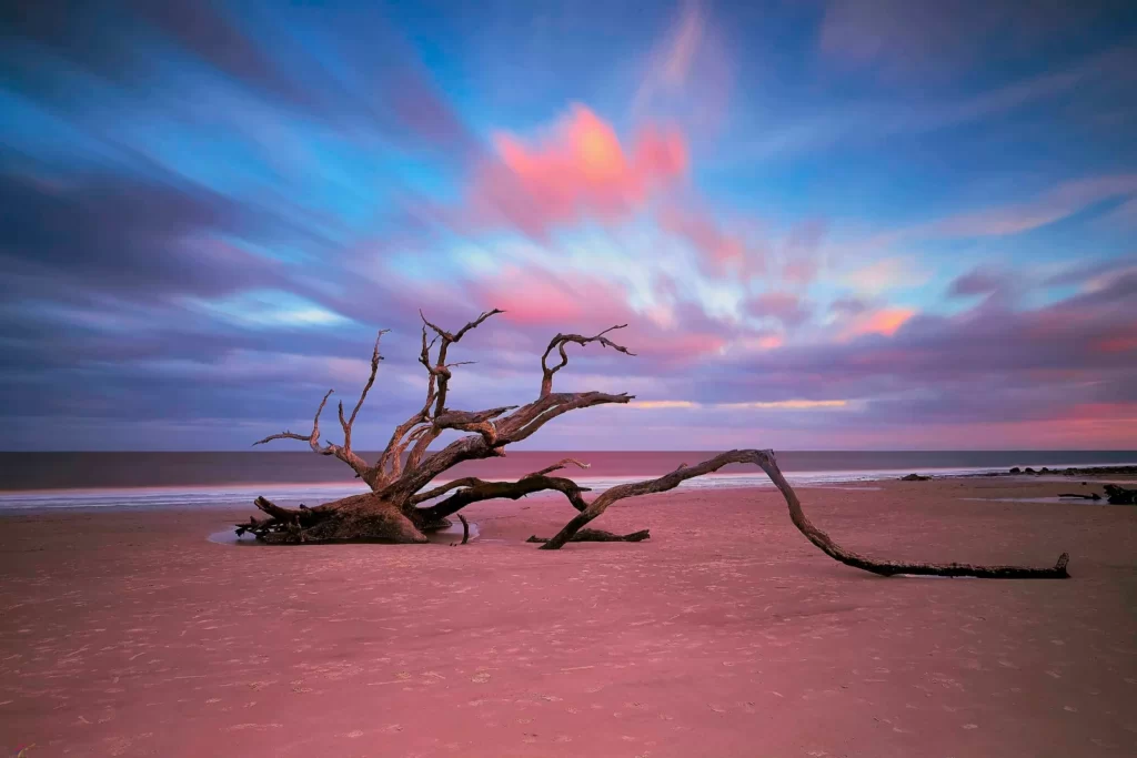 Thị trường nhiếp ảnh nghệ thuật Việt Nam Cần gì để thay đổi