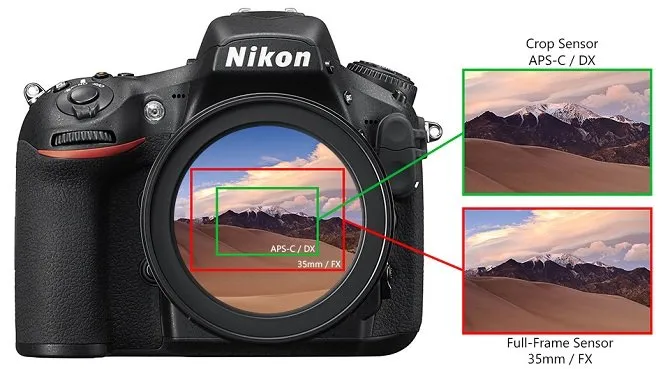 Kiến thức cơ bản về nhiếp ảnh dành cho người mới tìm hiểu. (Nguồn: Internet)