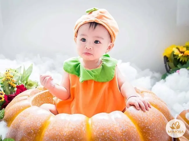 Concept hoàng tử bí ngô