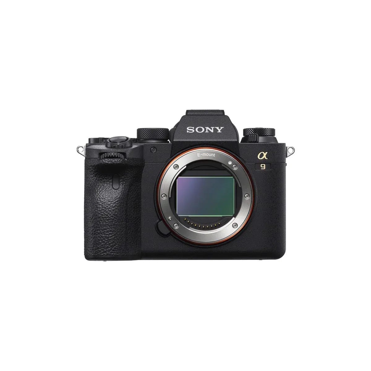 Máy ảnh Sony A9 Mark II (Nguồn: Internet)