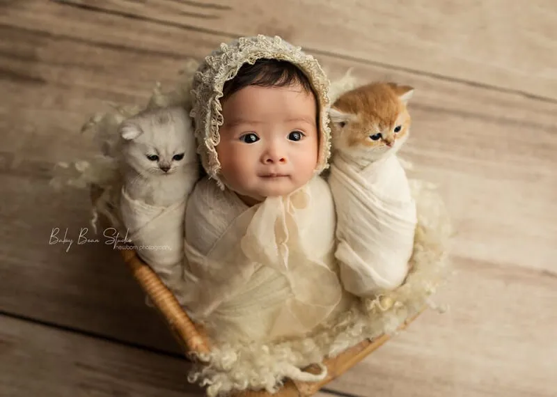Baby Bean studio. (Nguồn: Internet)