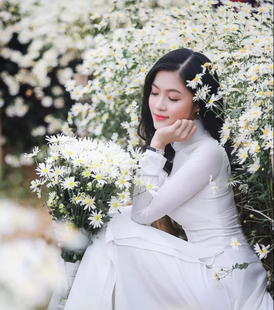 Chia Sẻ Kinh Nghiệm Chụp Ảnh Kỷ Yếu Đẹp với Mùa Hoa Cúc Họa Mi