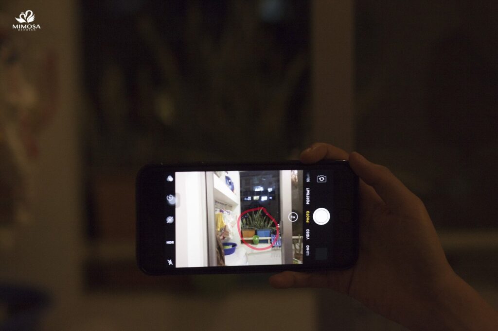 Tự học chụp ảnh