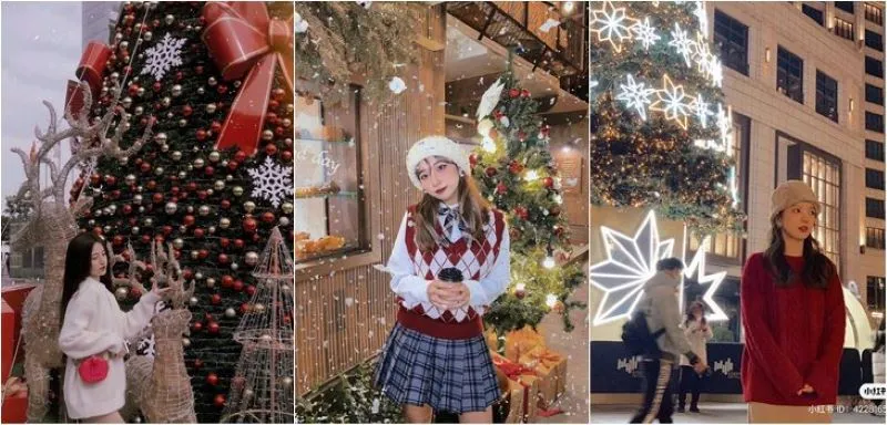 Chụp ảnh với cây thông Noel ngoài trời