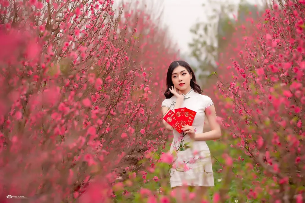 Niềm vui Tết trong không gian những bông đào đẹp mê hồn tại Vườn Đào Nhật Tân