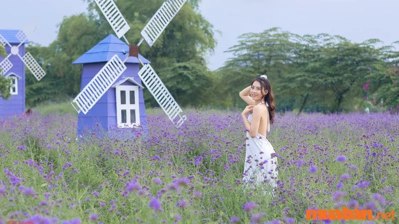 Thảo Nguyên Hoa Long Biên trở thành điểm chụp ảnh lý tưởng trong mùa Tết