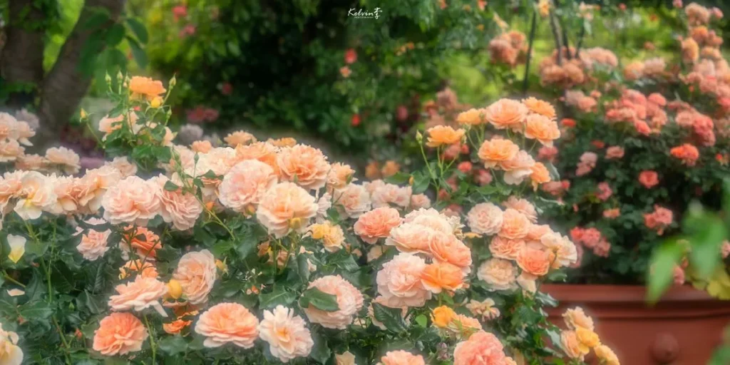 Cách tạo dáng chụp ảnh Tết cho nam ngầu nhất 2024