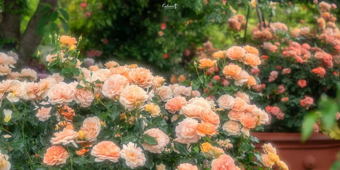 Cách tạo dáng chụp ảnh Tết cho nam ngầu nhất 2024