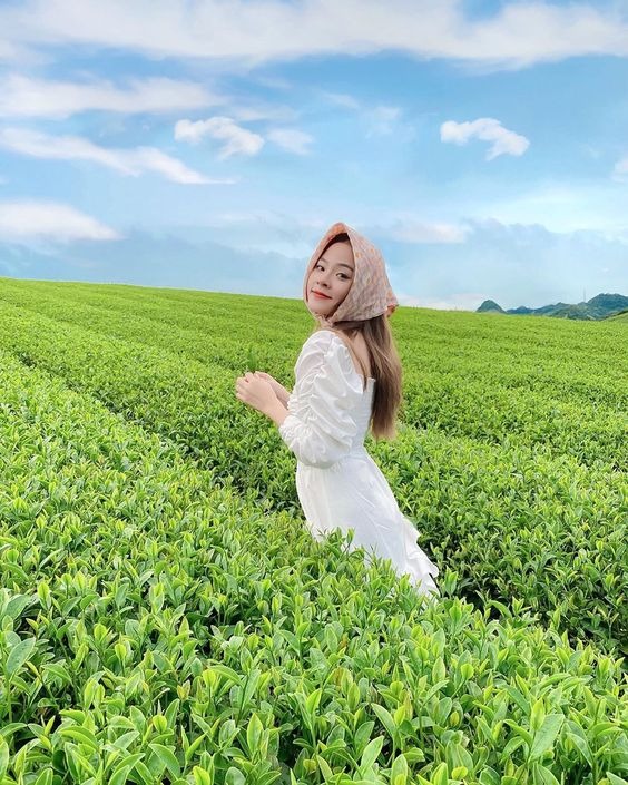 10 cách tạo dáng với đồi chè cực mát mẻ, chill. (Nguồn: Internet)