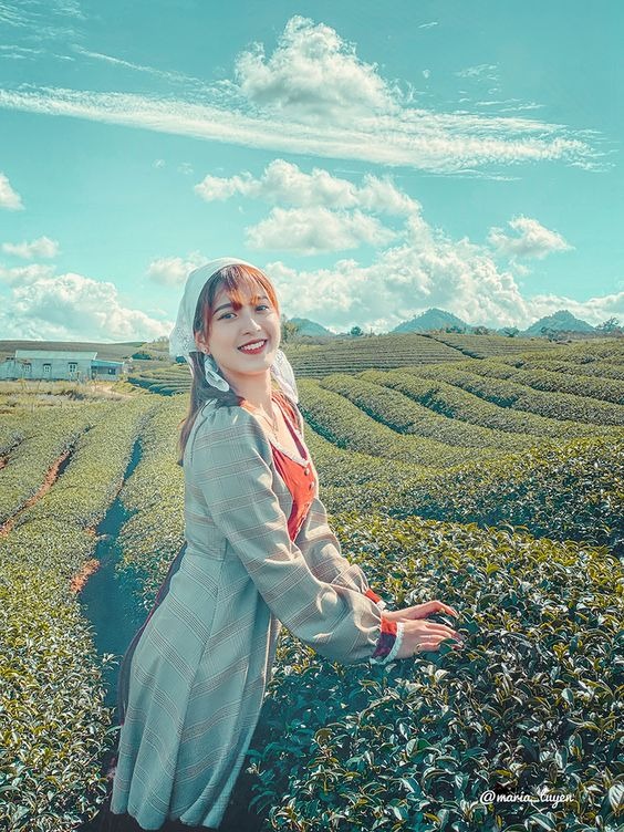 10 cách tạo dáng với đồi chè cực mát mẻ, chill. (Nguồn: Internet)