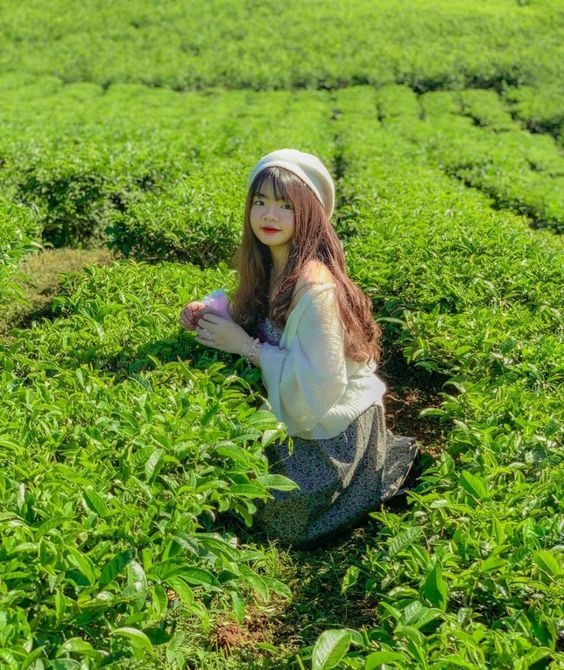 Tạo dáng ngồi bên đồi chè