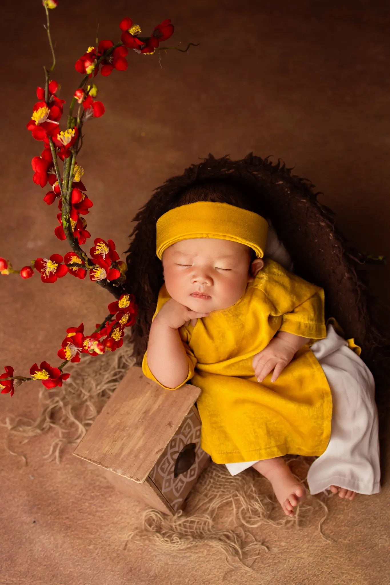 Aloha Baby Studio - Đơn vị chụp hình cho bé sơ sinh tại nhà chất lượng