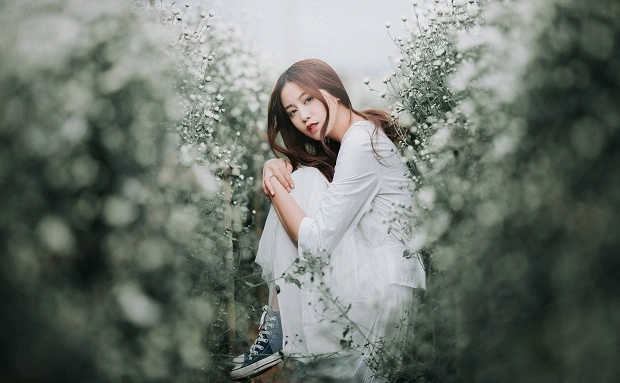 Tạo dáng ngồi cùng cúc họa mi