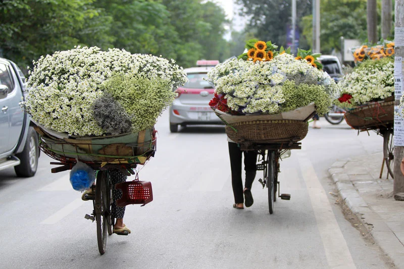 Tại các con phố Hà Nội