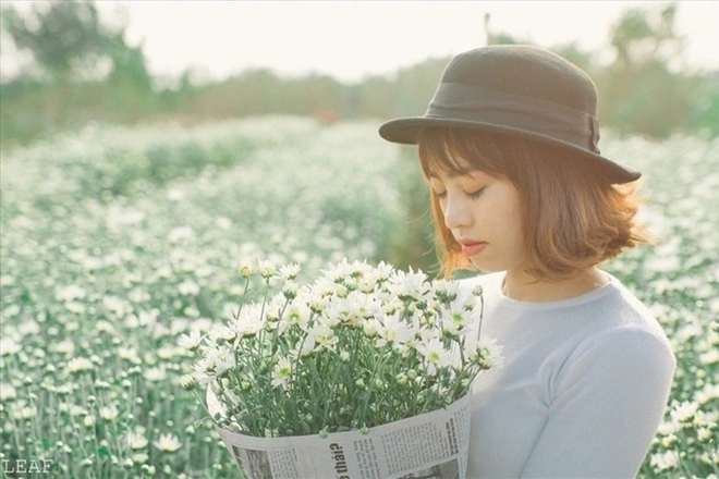 Cánh đồng hoa Quảng An
