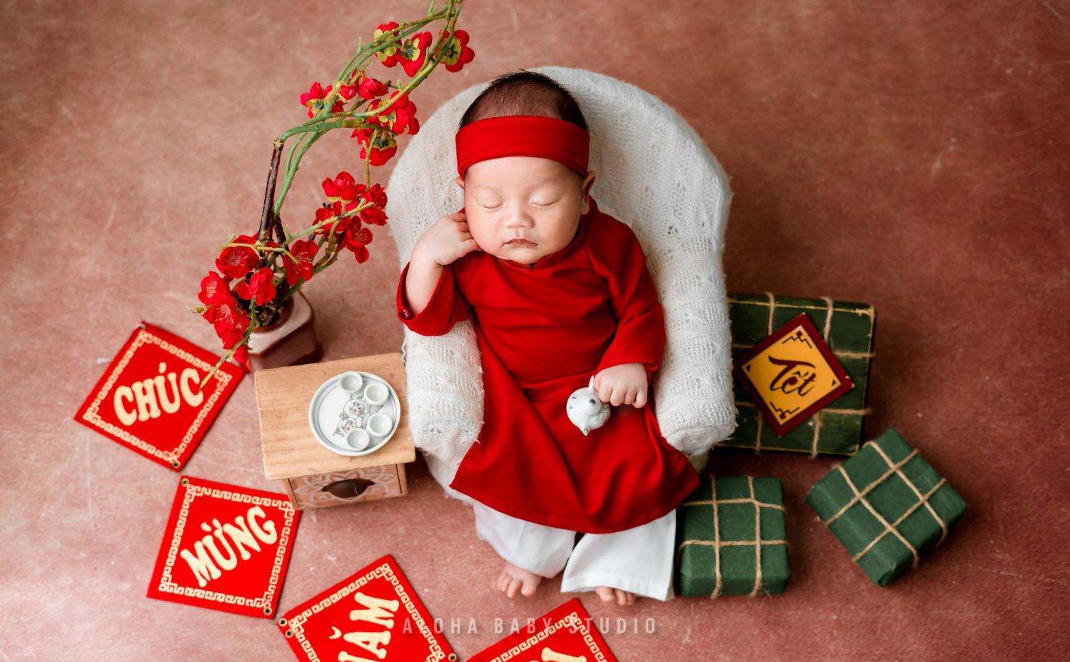 Gợi ý một số concept chụp ảnh cho bé (Nguồn: Aloha Baby Studio)