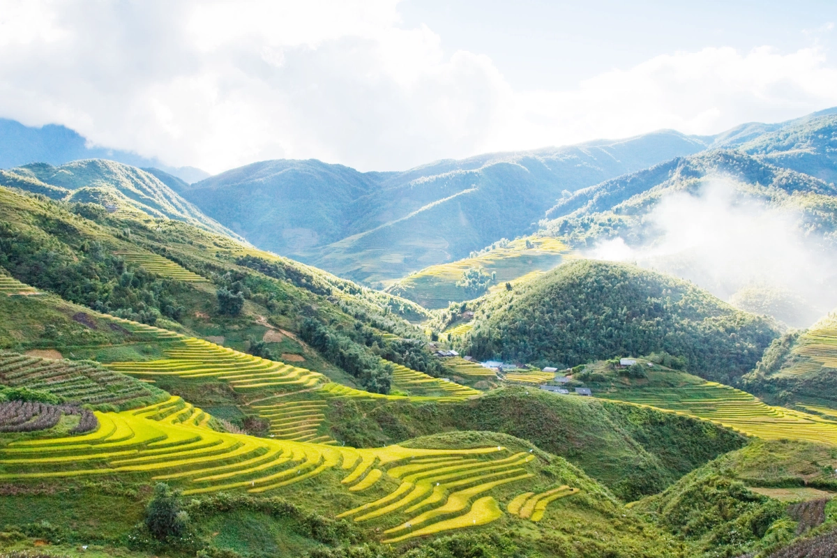 Một Bản Sắc, Sapa