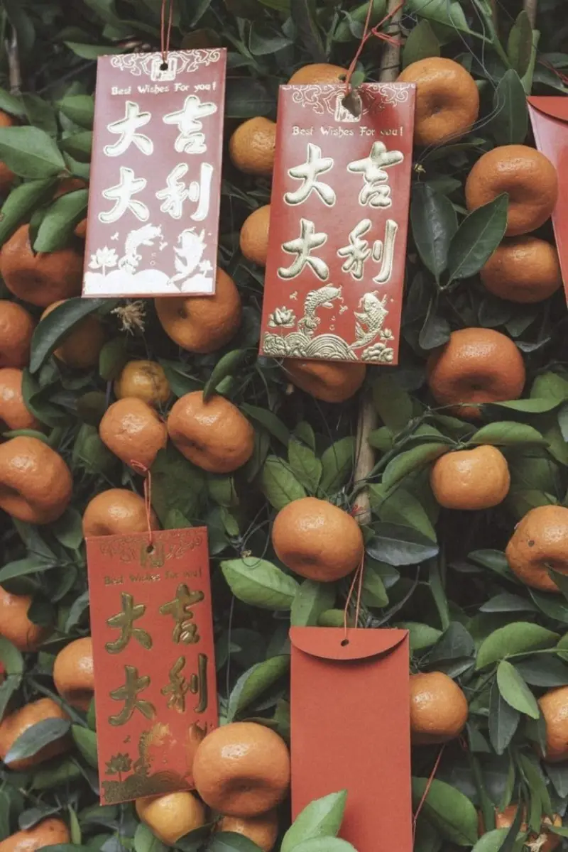 Hình ảnh Tết cùng quất và lì xì