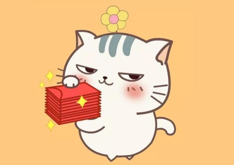 Hình ảnh mèo cute