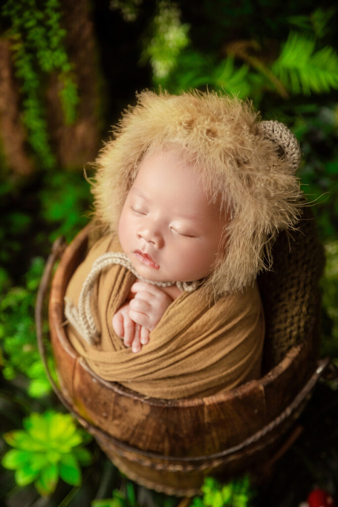 Concept Jungle Boy chụp ảnh newborn cho bé Leon