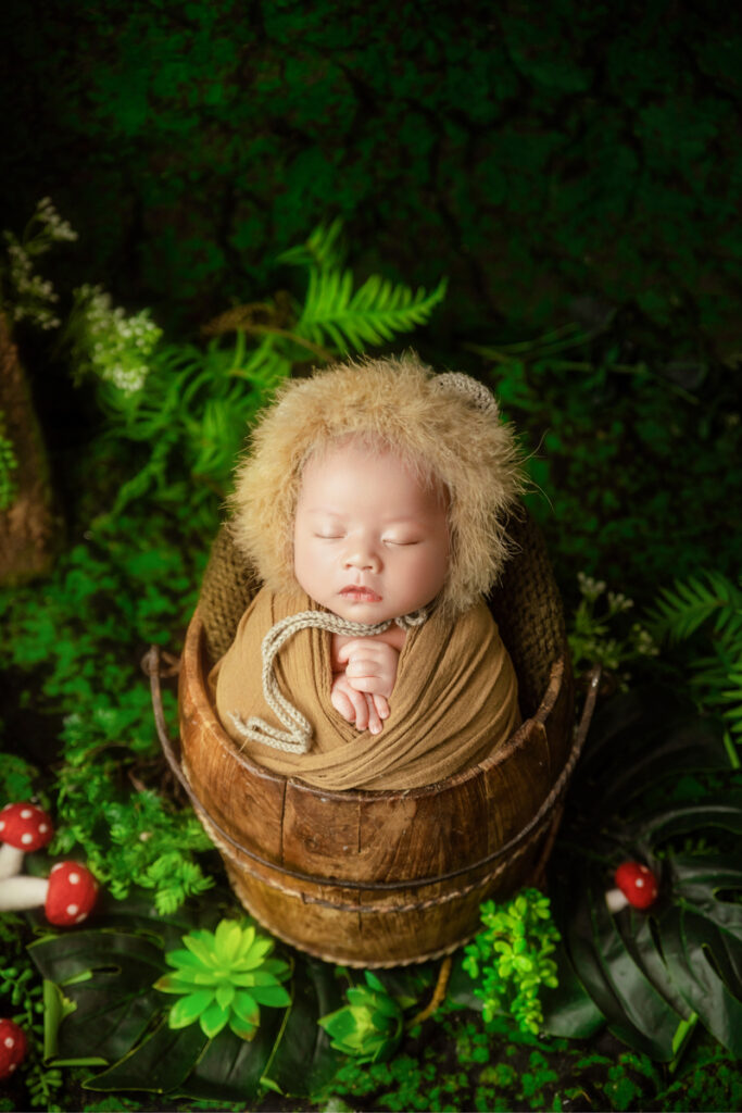Concept Jungle Boy chụp hình newborn cho bé Leon