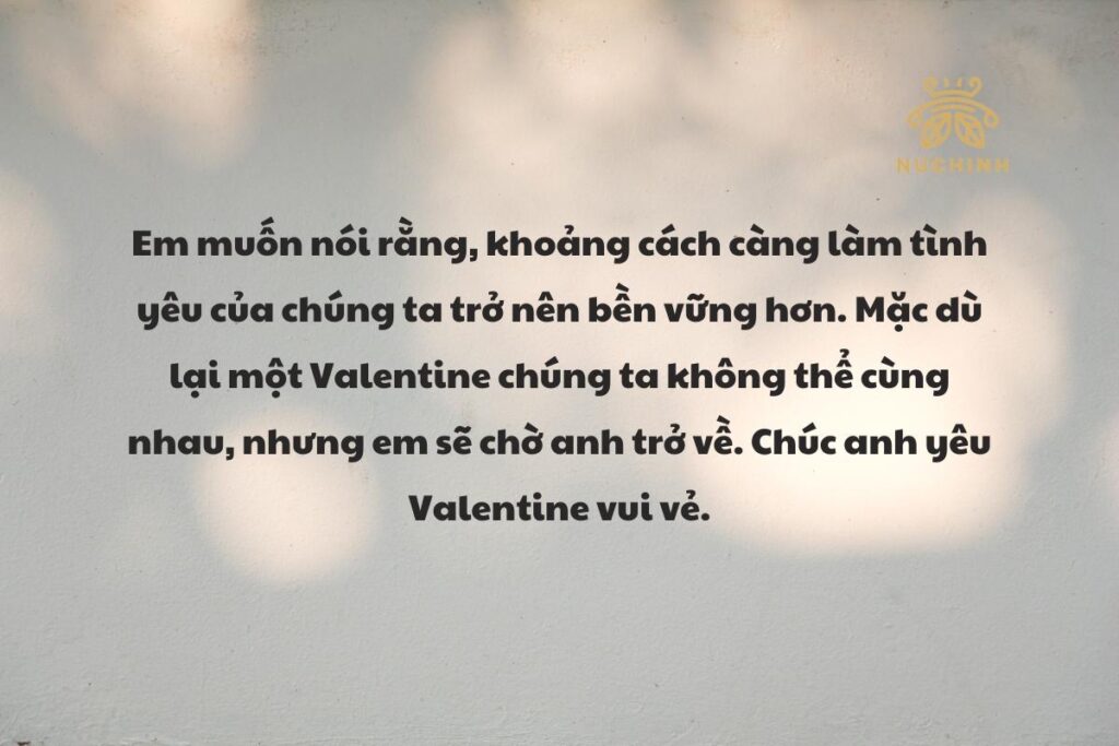 Lời chúc ngày valentine tới nửa kia