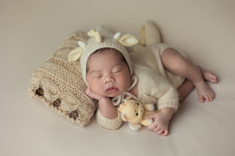 Concept chụp ảnh bé Little dragon