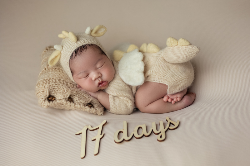 Little dragon concept ảnh newborn