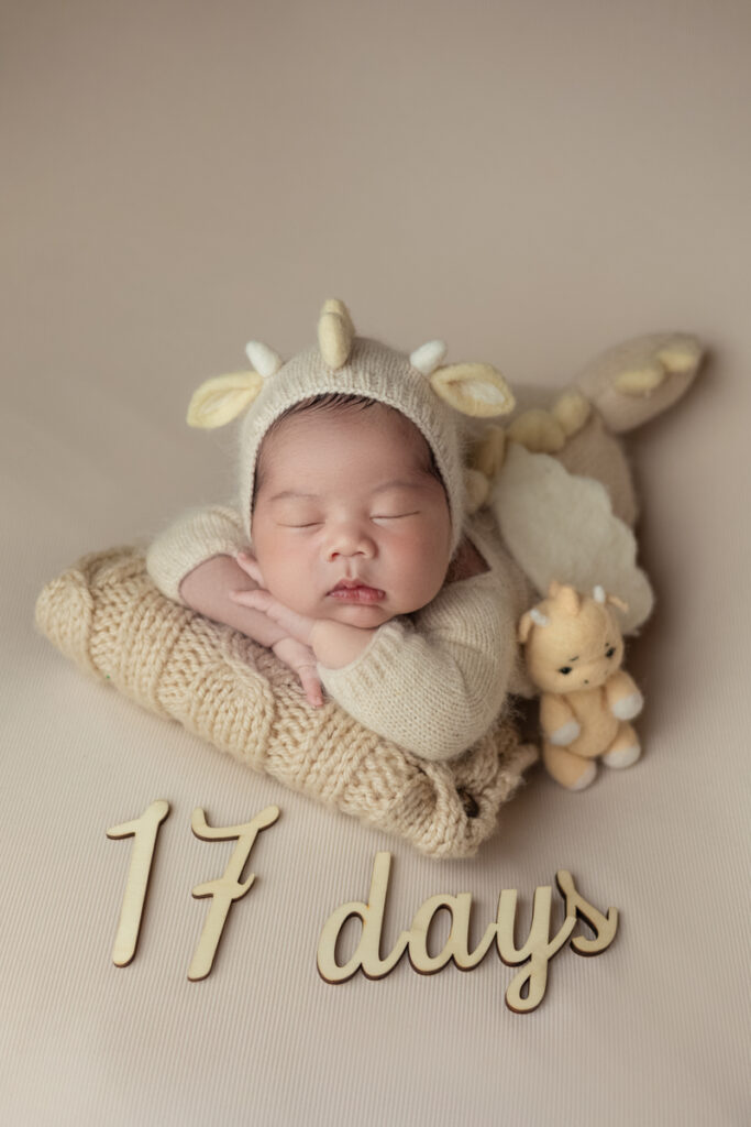 Chụp ảnh newborn cho bé Dino trong concept Little Dragon