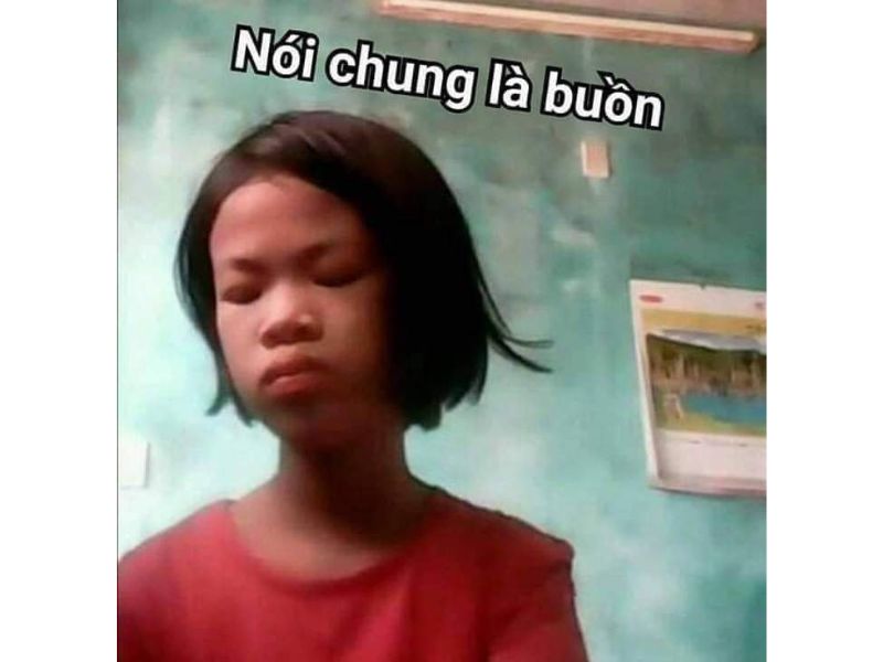 Meme hình ảnh buồn vì “Hội đồng quản trị” của cô ấy