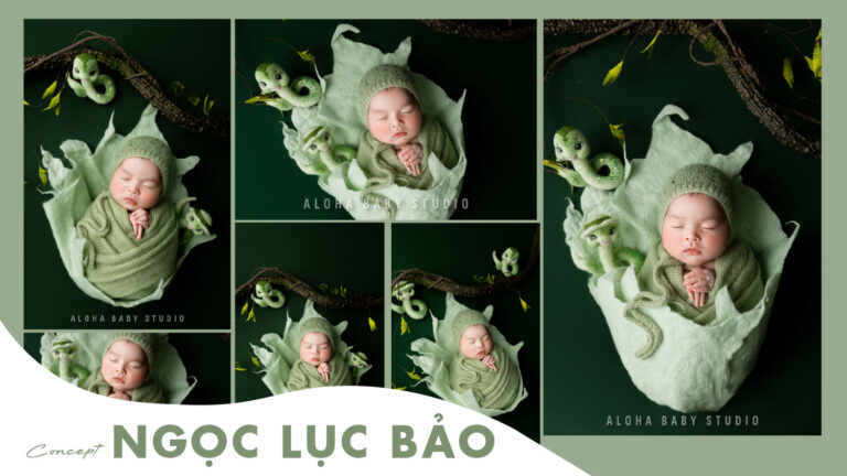 Concept chụp ảnh cho bé Ngọc Lục Bảo