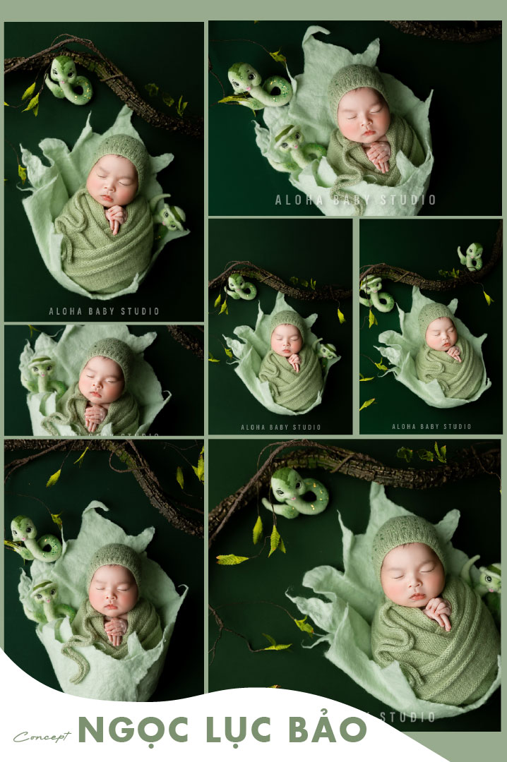 Concept chụp ảnh newborn Ngọc Lục Bảo