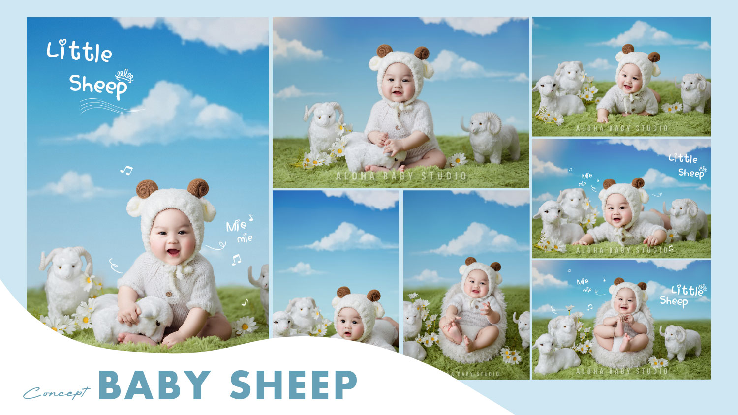 Concept chụp ảnh cho bé BABY SHEEP