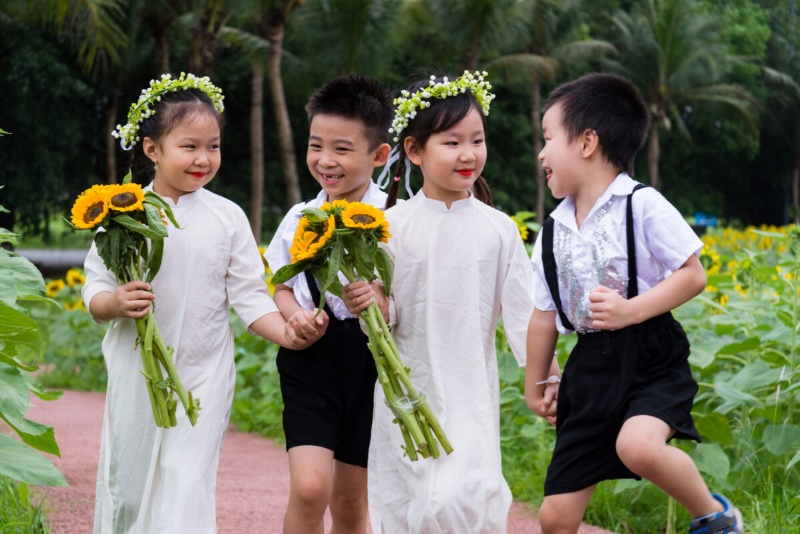 Tư vấn và định hình gói concept