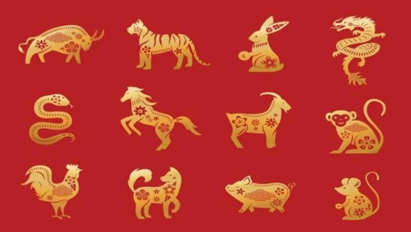 12 con giáp là gì? Nguồn gốc của hệ thống con giáp