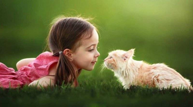 Ảnh em bé dễ thương với động vật