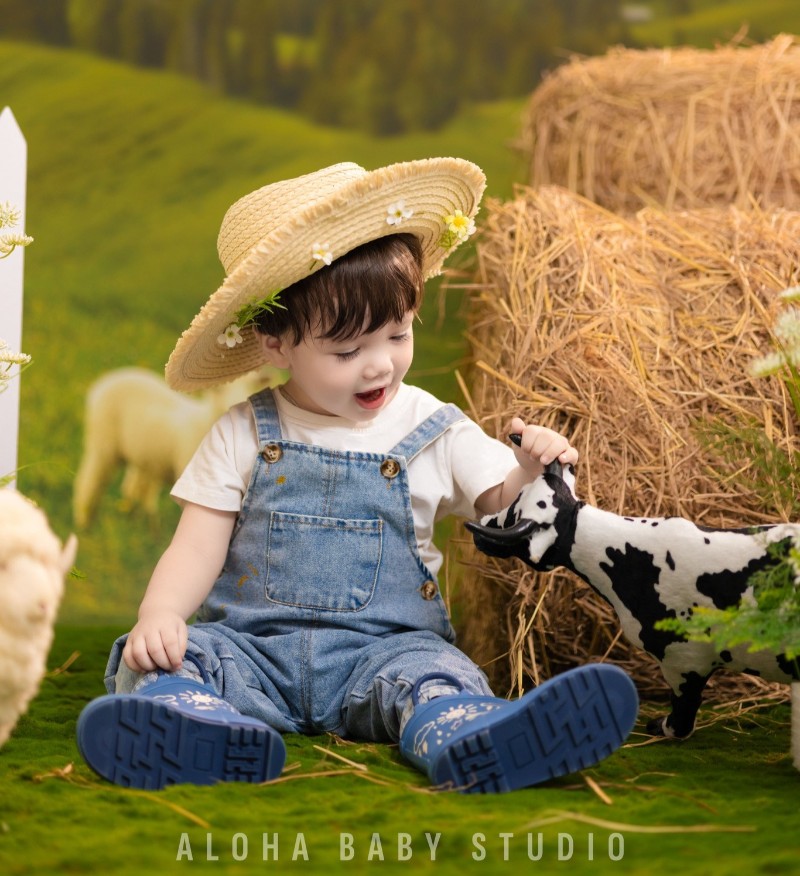 Các concept chụp ảnh thôi nôi phổ biến tại Ba Đình