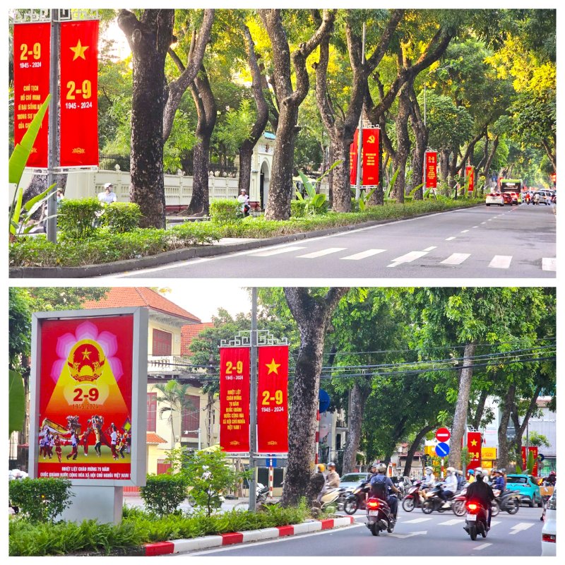 Hình ảnh 2-9 trang hoàng đường phố đẹp
