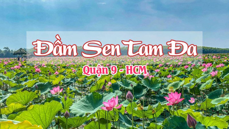 Chụp Ảnh Kỷ Yếu Tại Sen Tam Đa