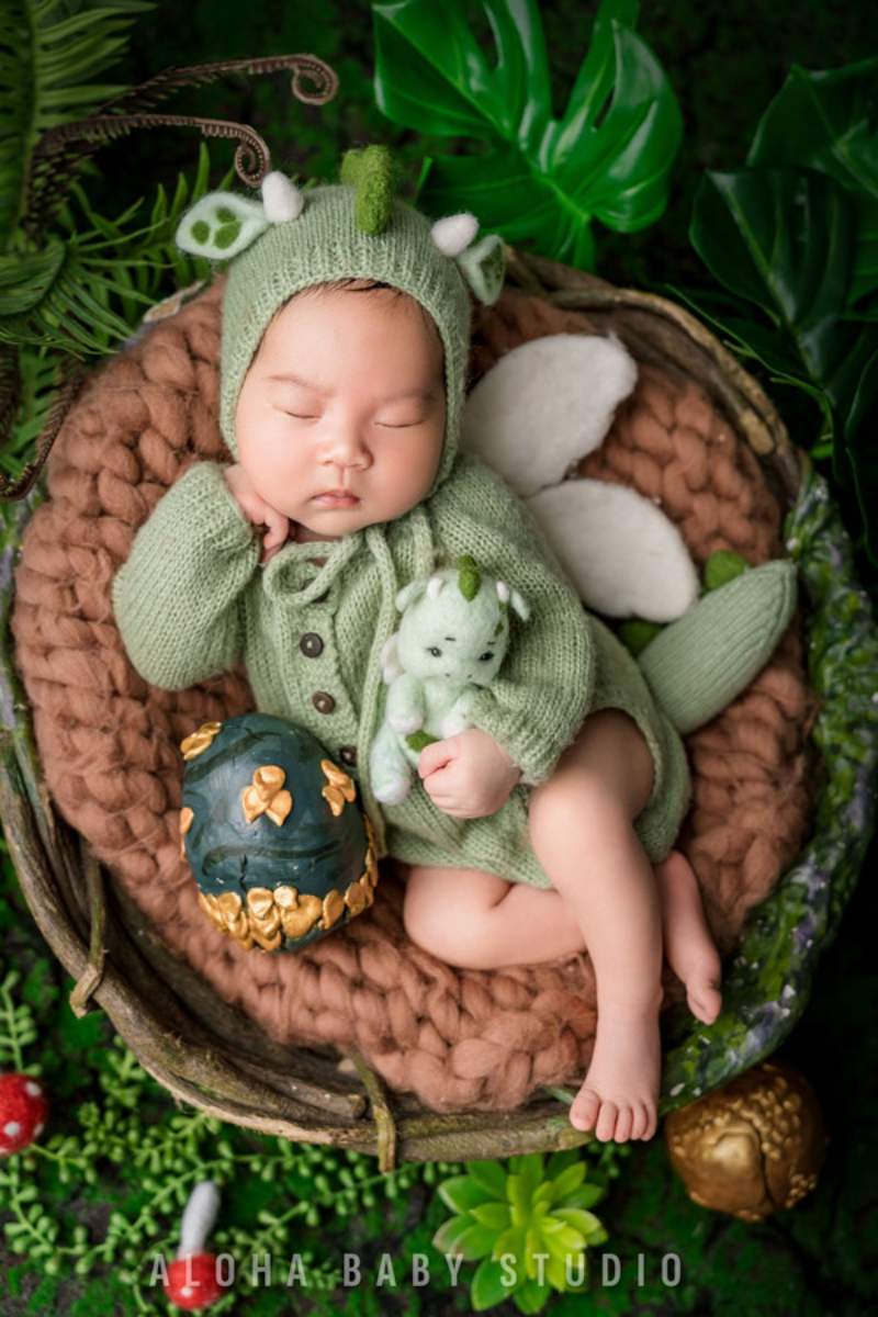 Concept chụp ảnh newborn Rừng xanh