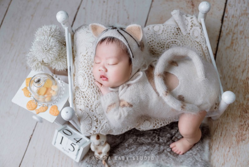 Concept Mèo con dễ thương