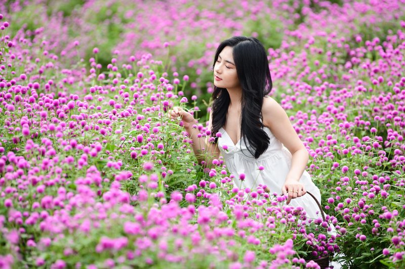 Vườn hoa Nhật Tân ( Nguồn ảnh: Sưu tầm )