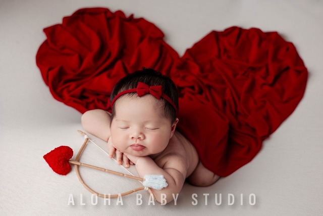 Aloha Baby Studio cung cấp dịch vụ chụp ảnh em bé sơ sinh và gia đình