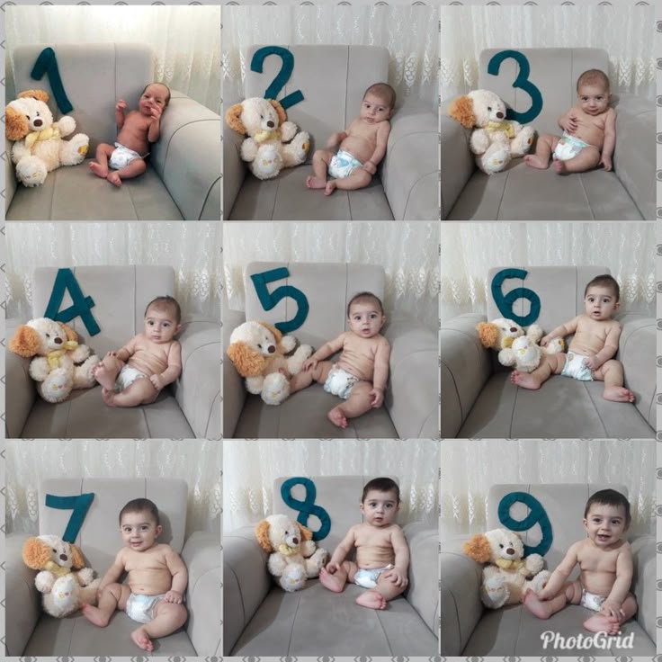 Khác biệt giữa ảnh em bé mới sinh và ảnh chụp theo giai đoạn phát triển