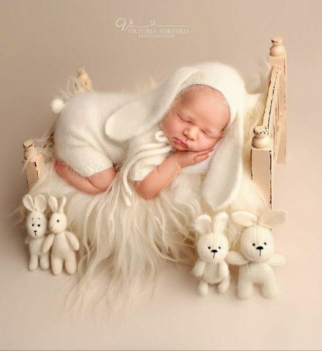 Bộ ảnh newborn tại nhà với mền, thú nhồi bông và phụ kiện gỗ
